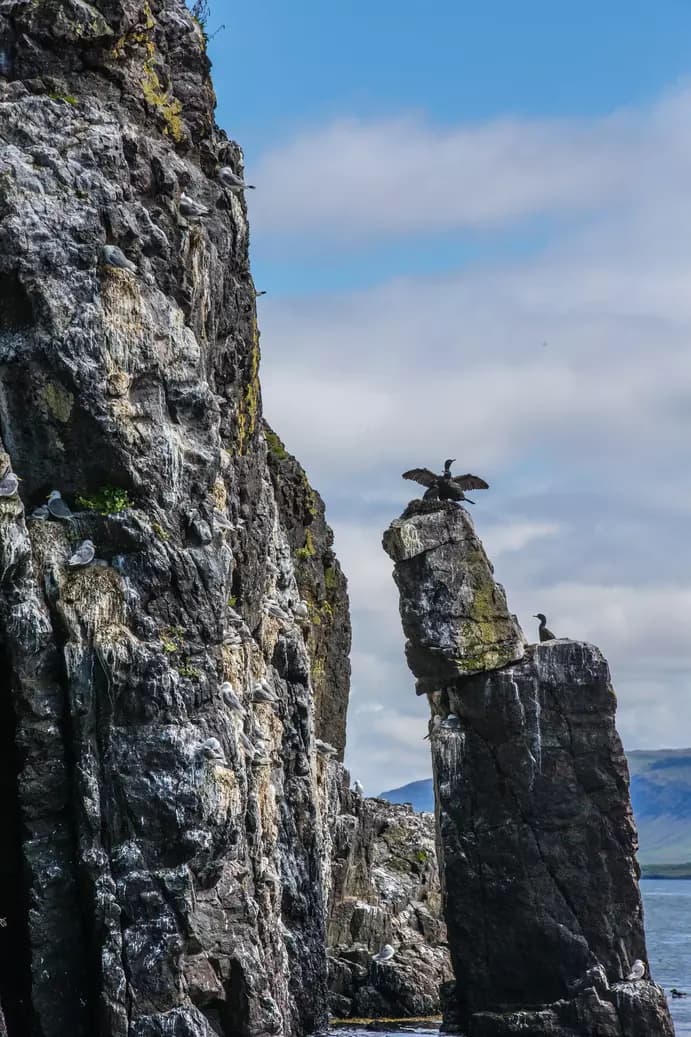 Image from excursion